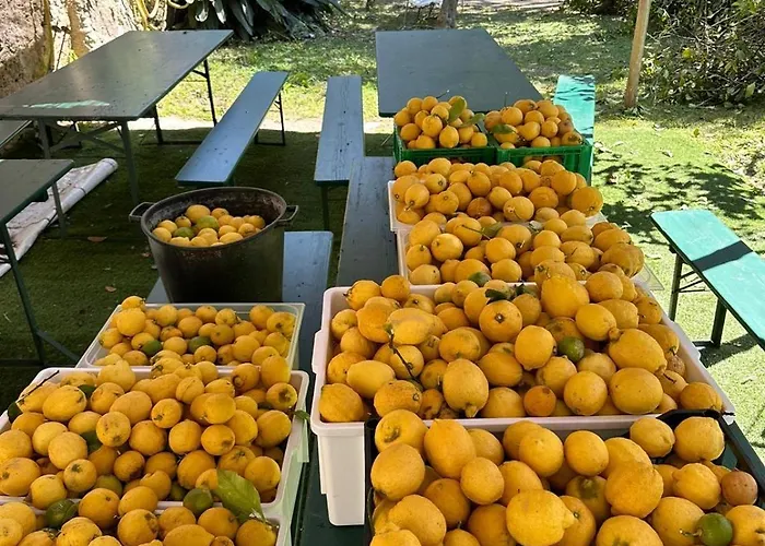 Отель Florenz 2*